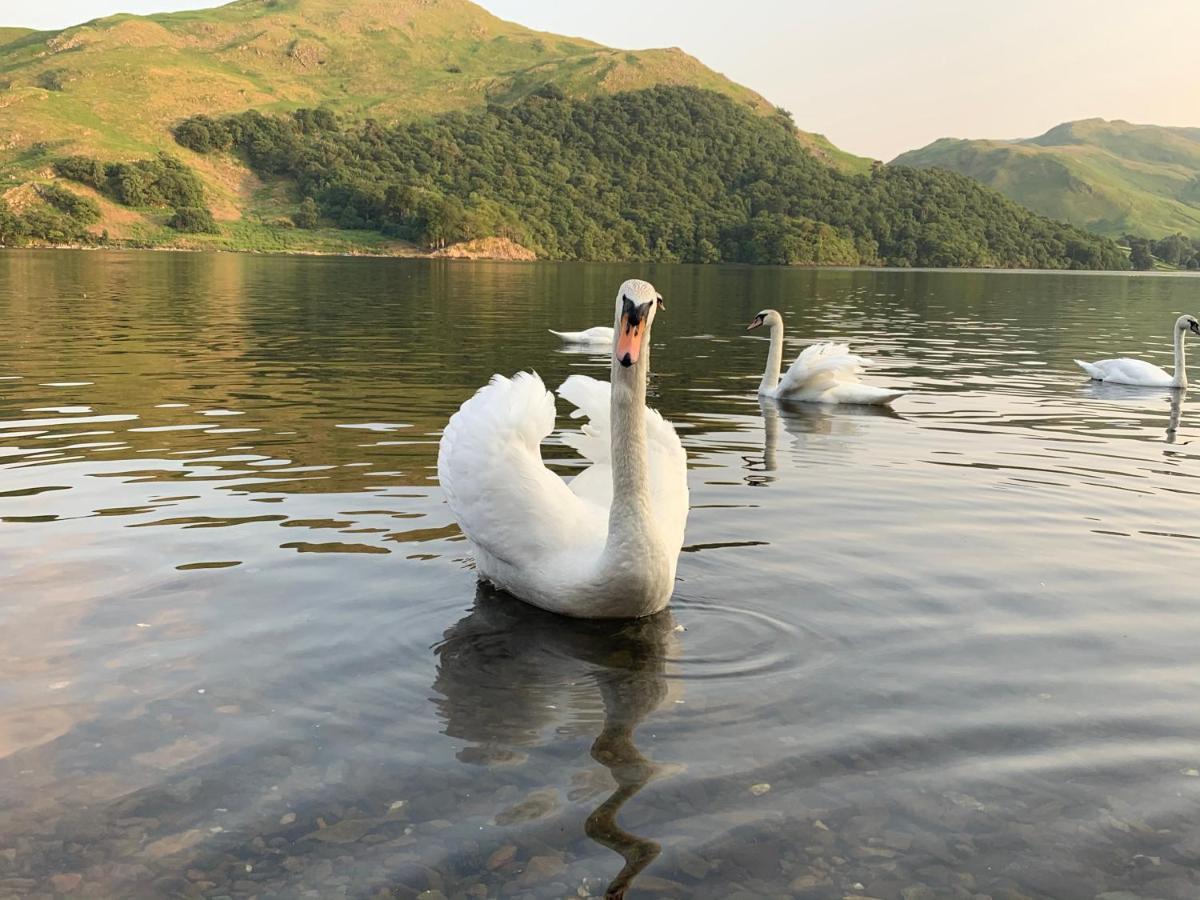 The Ullswater View Guest House Watermillock Exteriér fotografie